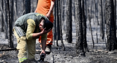 Orman kahramanlarının alevlerle mücadelesi sürüyor (Foto Galeri) 