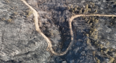 Orman yangınlarındaki yürek burkan tahribat havadan görüntülendi (Foto Galeri) 