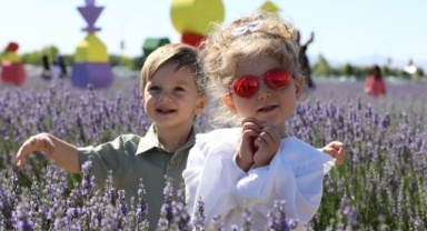Türkiye'nin en büyük Lavanta Bahçesi'nde festival coşkusu (Foto Galeri) 