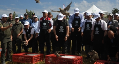 Yaban Hayatı Canlanıyor: Kınalı Keklikler Doğaya Salındı (Foto Galeri)