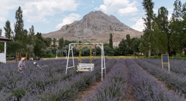 Âşık olduğu dağın eteğine lavanta bahçesi kurdu, kartpostallık görüntüler oluştu (Foto Galeri)
