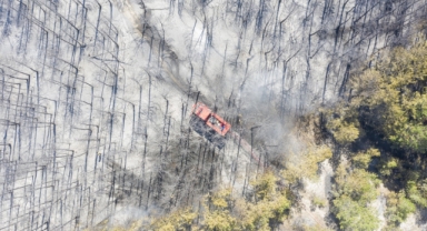 Bolu'da çıkan orman yangını kısmen kontrol altına alındı (Foto Galeri) 