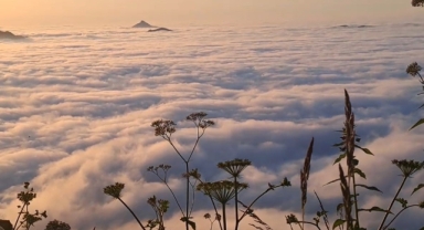 Doğu Karadeniz'in  'Bulut Denizi' görenleri kendine hayran bırakıyor (Foto Galeri)