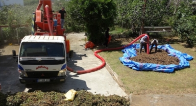 Fındıkta patoz mesaisi başladı (Foto Galeri)