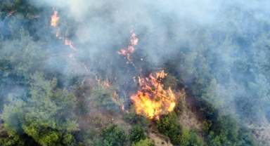 Karabük'te çıkan orman yangınına müdahale ediliyor (Foto Galeri)