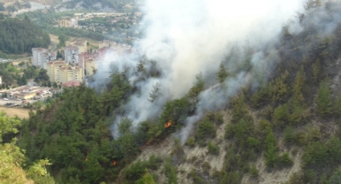 Karabük’te Orman Yangını! Ekipler Müdahalesi Sürüyor (Foto Galeri)