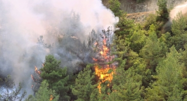Karabük'te ormanlık alanda yeniden yangın çıktı (Foto Galeri)