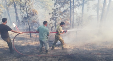 Kastamonu'da çıkan orman yangını kontrol altına alındı (Foto Galeri) 