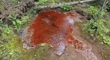 Kuzalan Tabiat Parkı kızıl renkteki suyu ve travertenleriyle büyük ilgi görüyor (Foto Galeri)  