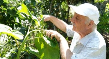 ‘Olmaz' denileni yaptı: Evini tropikal bahçeye çevirdi (Foto Galeri)