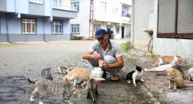 Tirebolu’da Sessiz Canlara Şefkat Eli (Foto Galeri) 