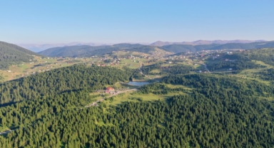 Trabzon'daki o yayla doğaseverlerin rotasında yer alıyor (Foto Galeri)