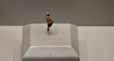 14 bin yıllık bulgular müzede sergilenmeye başladı (Foto Galeri) 