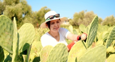 Bahçeyi kurarken alay konusu oldular, şimdi 10 ton ürünün tamamını yurt dışına veriyorlar (Foto Galeri)