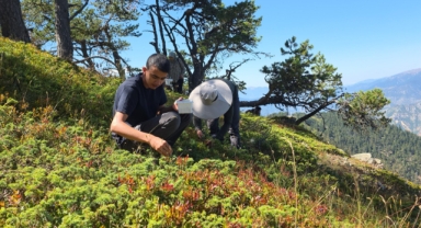 Doğanın şifa kaynağı Likarpa, Karadeniz'in o kentinde şenliğe dönüştü (Foto Galeri)