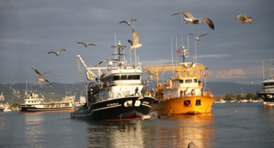 Karadeniz'de hamsi bolluğu balıkçıların yüzünü güldürdü (Foto Galeri)
