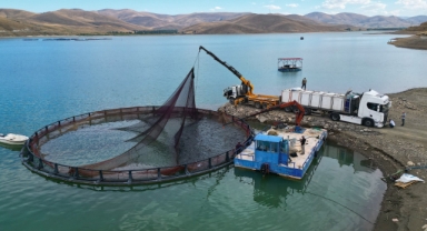 O kentte yetiştirilen Türk somonlarının Rusya'daki sofralara yolculuğu başladı (Foto Galeri)