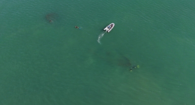 Ordu'da 1933 Yılında Batan Rus Şilebi Gün Yüzüne Çıktı (Foto Galeri)