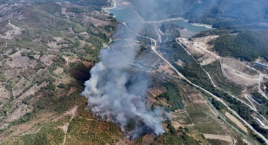 Orman yangınına müdahale ediliyor (Foto Galeri) 