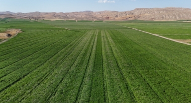 Patates Hasadı İçin Geri Sayım Başladı: 460 Bin Ton Rekolte Bekleniyor (Foto Galeri)
