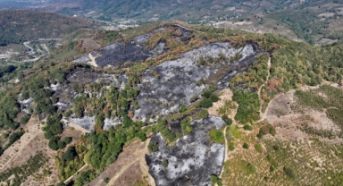 Yangında zarar gören alanlar havadan görüntülendi (Foto Galeri)