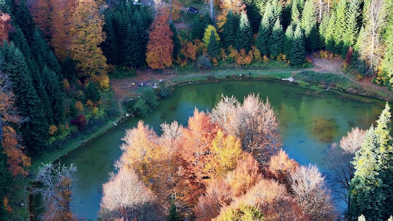 Sonbaharın Tüm Renkleri O Kentte Bir Arada (Foto Galeri)