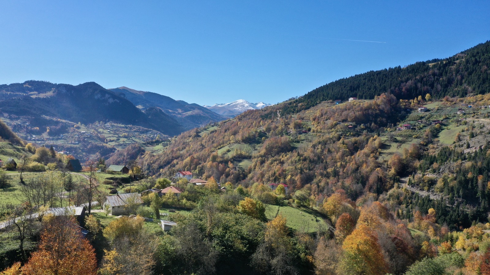 Dereli’de Sonbahar Renkleri Kalpleri Isıttı (Foto Galeri)
