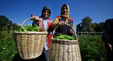  200 dönüm atıl arazi kadın ve gençlerin elinde değer kazandı (Foto Galeri)