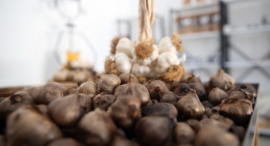 Coğrafi işaretli Taşköprü sarımsağından üretilen siyah sarımsak 6 ülkeye ihraç ediliyor (Foto Galeri)