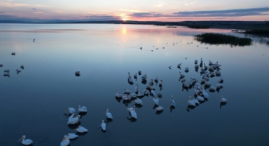Doğa Büyüledi... Manyas Gölü’nde Kuş Göçü Görsel Şölene Dönüştü (Foto Galeri)