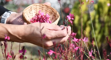 Kimyasalsız Kağıt Sanatıyla Yenilikçi Proje (Foto Galeri)