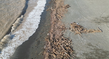 O Kentte Şiddetli Yağış Hayatı Felç Etti! (Foto Galeri)