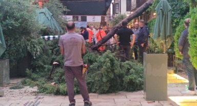 Şiddetli Rüzgar ve Sağanak Hayatı Felç Etti (Foto Galeri)