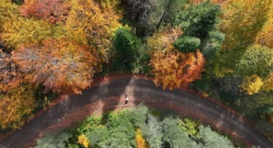 Sonbaharın Büyüleyici Renkleriyle Görsel Şölen (Foto Galeri)