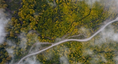 Sonbaharın Renkleri Havadan Böyle Görüntülendi (Foto Galeri)