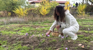 UNESCO Mirası O Baharatın Kilosu 600 Bin Liradan Satılacak (Foto Galeri)