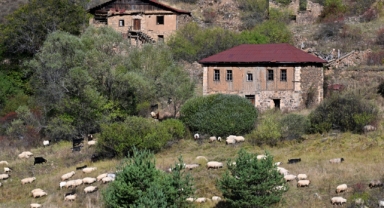 Zigana Dağı'nda besiciler sonbahar mesaisinde (Foto Galeri) 