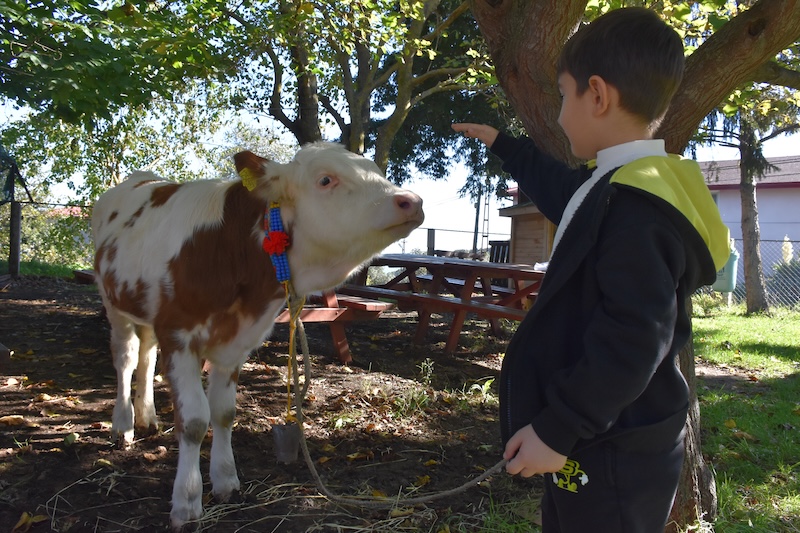 O kentte Toprak Ana Köy Yaşam Merkezi, öğrencilerin doğa ile buluşma mekanı oldu (Foto Galeri)