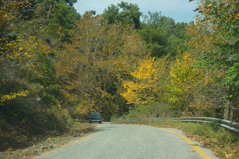 Sonbahar Güzelliği O Yaylada Renk Cümbüşüne Dönüştü (Foto Galeri)