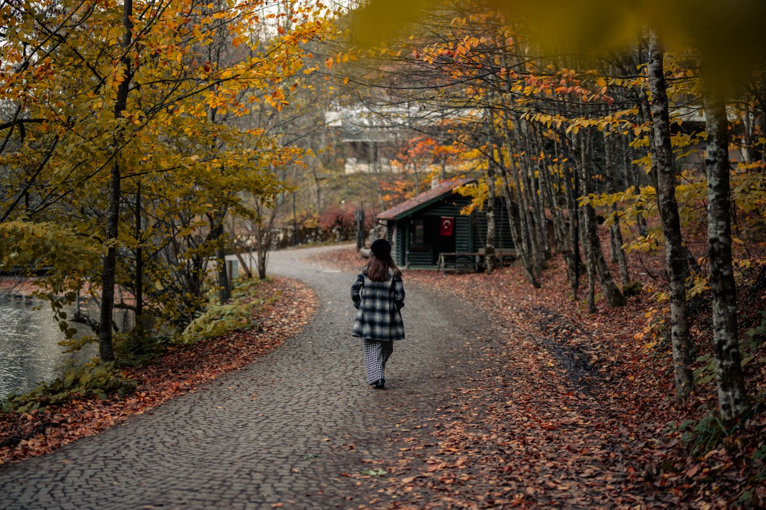 O kentte sonbahar renkleri büyüledi (Foto Galeri) 