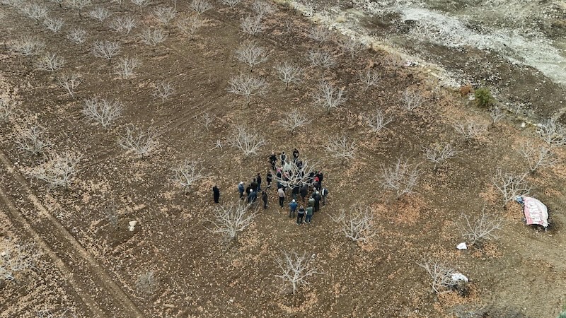 410 Bin Dekarlık Fıstık Alanında Modern Tarım Dönemi Başladı (Foto Galeri)