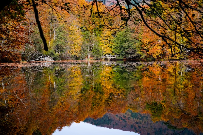 Sonbahar renklerine bürünen 