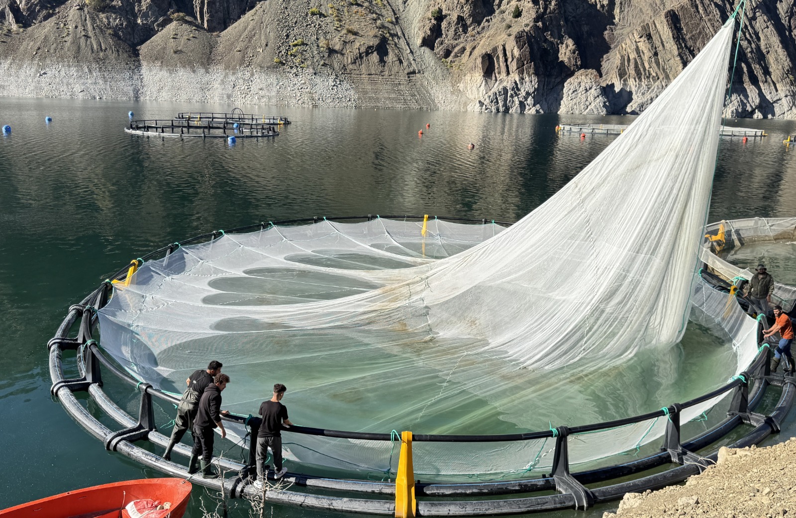 Karadeniz'in o kentinden 67 ülkeye Türk somonu ihracatı (Foto Galeri) 
