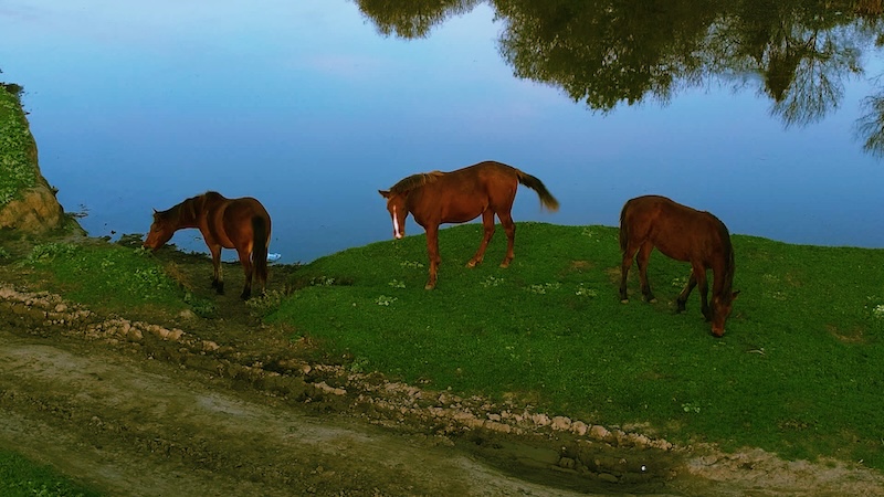 Samsun’un Doğal Güzelliği Yağışlarla Yeniden Hayat Buldu (Foto Galeri)