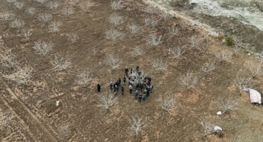 410 Bin Dekarlık Fıstık Alanında Modern Tarım Dönemi Başladı (Foto Galeri)