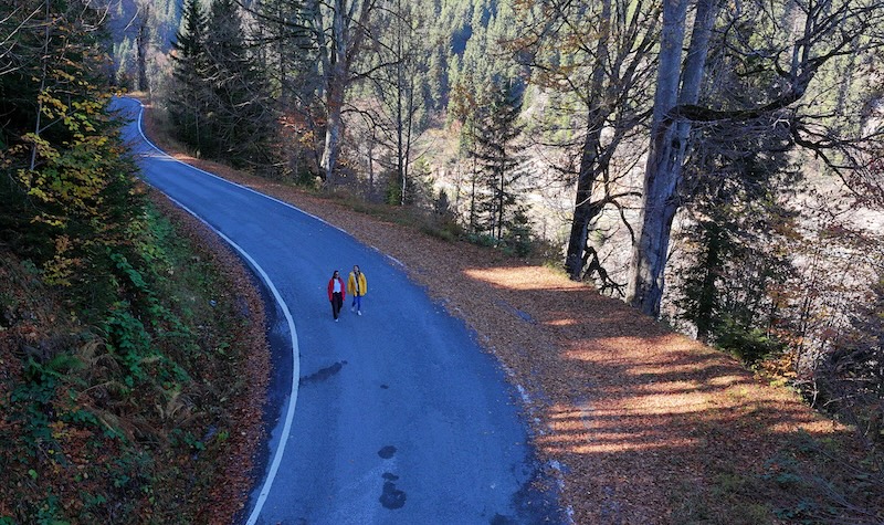 Dağların eteğindeki Hamsiköy oyuk ağaçlarıyla fotoğraf tutkunlarına alternatif sunuyor (Foto Galeri)