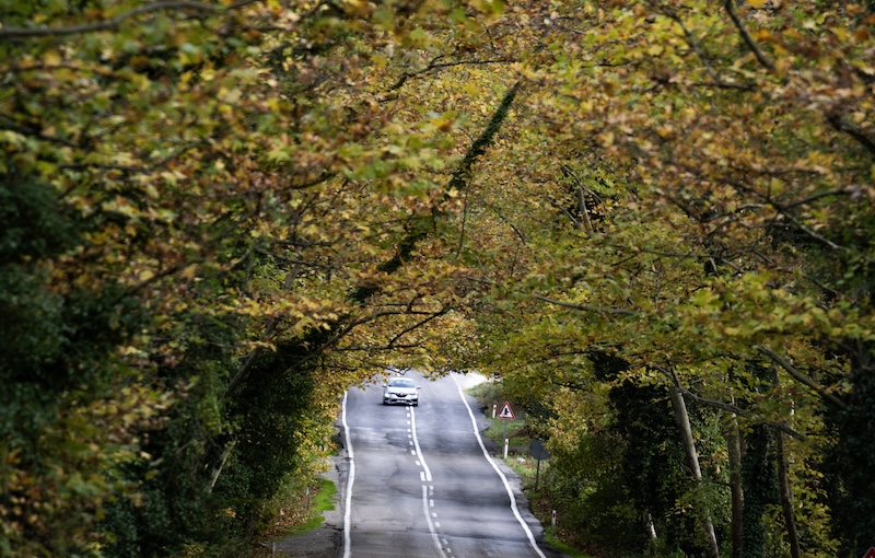 Karabük Ormanları Sonbaharın Renklerine Büründü (Foto Galeri)