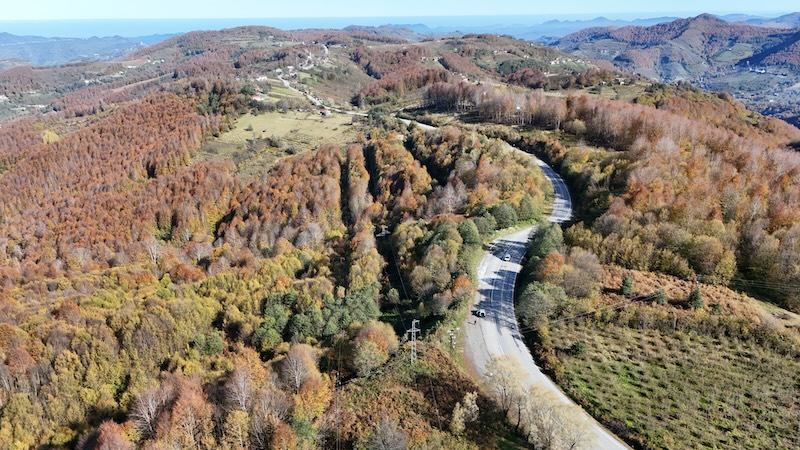 Ordu'nun Akkuş ilçesindeki ormanlarda sonbahar renkleri hakim oldu (Foto Galeri)