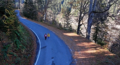 Dağların eteğindeki Hamsiköy oyuk ağaçlarıyla fotoğraf tutkunlarına alternatif sunuyor (Foto Galeri)