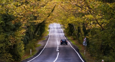 Karabük Ormanları Sonbaharın Renklerine Büründü (Foto Galeri)